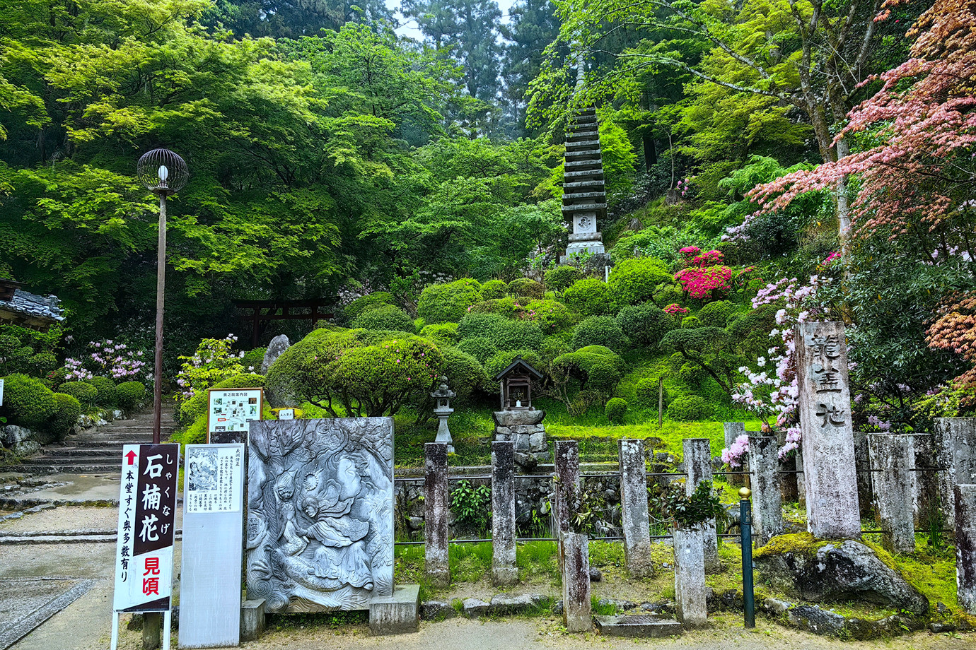 西國三十三所-東光山龍蓋寺(岡寺)